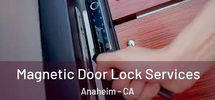 Magnetic Door Lock Services Anaheim - CA